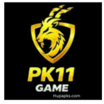 PK11 Game