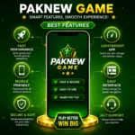 Paknew game logo