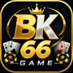 bk66 game logo